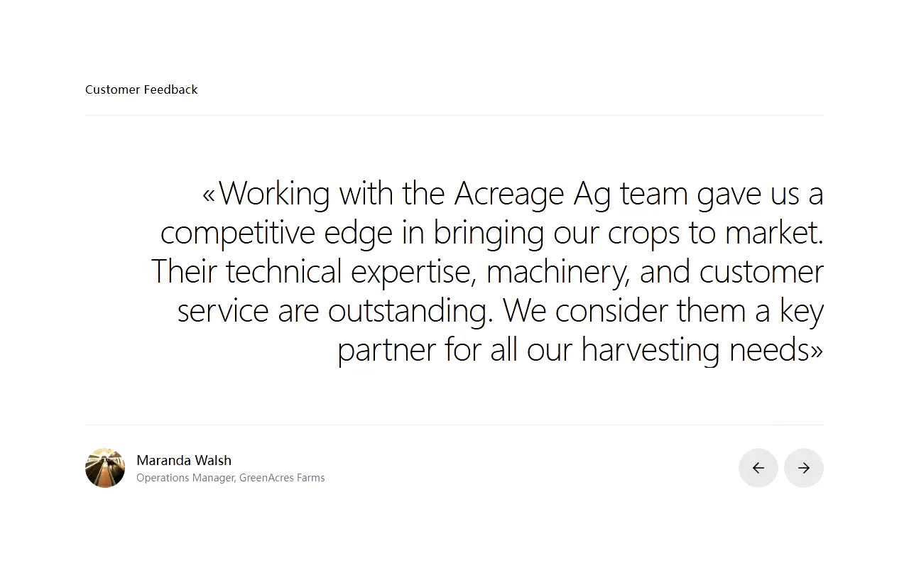 Arceage Testimonial interface structure preview